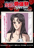 危険な愛体験special 13の表紙