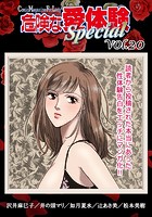 危険な愛体験special 20の表紙