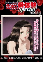 危険な愛体験special 24の表紙