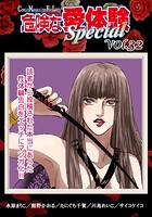 危険な愛体験special 32の表紙