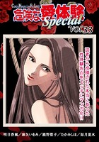 危険な愛体験special 33の表紙