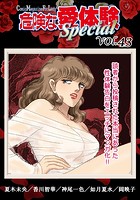 危険な愛体験special 43の表紙