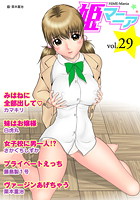 姫マニア Vol.29の表紙