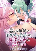 悪の組織のイケメン幹部は魔法少女に恋してるの表紙