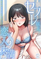 セフレ以上、恋人未満～カラダだけでもとけあいたい…（2）の表紙