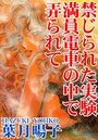 禁じられた実験 満員電車の中で弄られての表紙