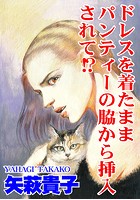 ドレスを着たままパンティーの脇から挿入されて！？の表紙