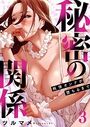 秘密の関係 〜純情オンナが堕ちるまで〜(フルカラー)【特装版】 3の表紙