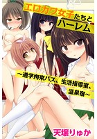 エロカワ女子たちとハーレム〜通学拘束バス、生活指導室、温泉宿〜の表紙