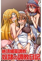 絶頂媚薬調教 奴隷の調教日記の表紙