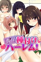専用種付けハーレム！の表紙