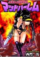 マッドハーレムの表紙