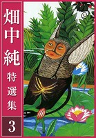 畑中 純 特選集 3の表紙
