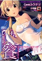 COMIC トウテツ vol.1の表紙|成年コミックデータベース