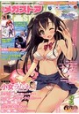 月刊 メガストア 2015年08月号の表紙