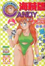 海賊版 CANDY TIME VOL.2 - キャンディータイム1990年04月号増刊の表紙|成年向け漫画雑誌