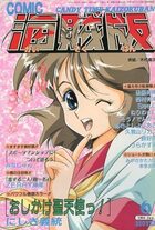 COMIC キャンディータイム 海賊版 1994年06月号の表紙|成年コミックデータベース