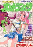 COMIC ホットシェイク - キャンディータイム海賊版1995年12月号増刊の表紙