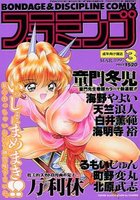 B.D.COMIX フラミンゴ 1997年03月号の表紙|成年コミックデータベース
