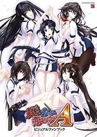 真剣で私に恋しなさい！A ビジュアルファンブックの表紙