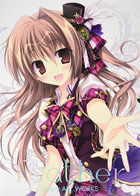 feather karory ART WORKS 限定版の表紙