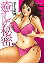 癒しの秘密の表紙