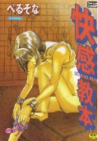 快感教本の表紙