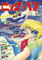 ビッグ・バン 13の表紙