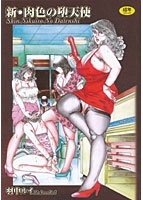 新・肉色の堕天使の表紙