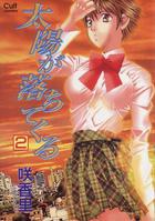 太陽が落ちてくる 2の表紙