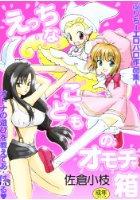 えっちなこどものオモチャ箱の表紙