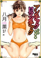 アンチックロマンチック お宝花園編の表紙