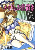 メイドのお仕置きの表紙