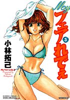 Myフェアれでぇ 3の表紙