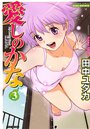 愛しのかな 3の表紙