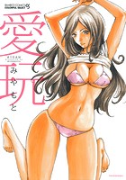 愛玩の表紙