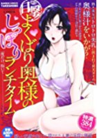 目撃! よくばり奥様のしっぽりランチタイムの表紙
