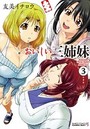 おいしい三姉妹 3の表紙