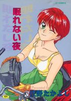 眠れない夜の表紙