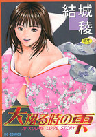 天翔る時の雫の表紙