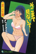 そこまで見ないで…の表紙