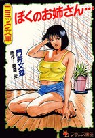 ぼくのお姉さん…の表紙