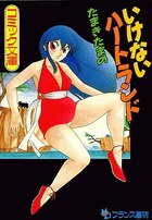 いけないハートランドの表紙