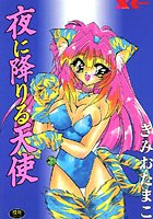 夜に降りる天使の表紙