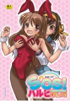 SOS！ハルヒすぺしゃるの表紙|成年コミックデータベース