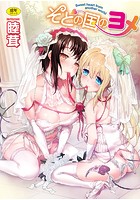 そとの国のヨメ 通常版の表紙