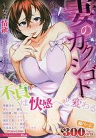 妻のカクシゴト～女は情欲を抑えられない～の表紙