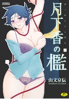 月下香の檻 二の表紙