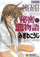 秘密の恋物語の表紙