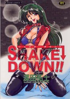 SHAKE DOWN!!の表紙